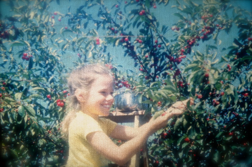 M-M on the ladder, picking cherries.