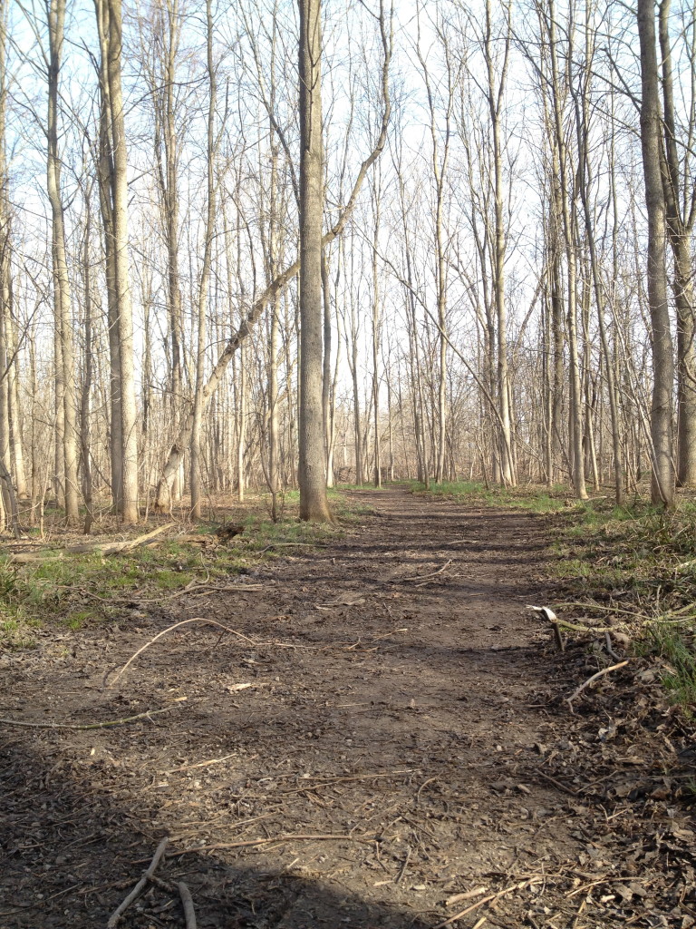 Spring Pathway